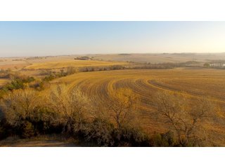 Property photo 35 - LAND AUCTION - 664+/- ACRES OFFERED IN 17 TRACTS IN CASS CO., NEBRASKA